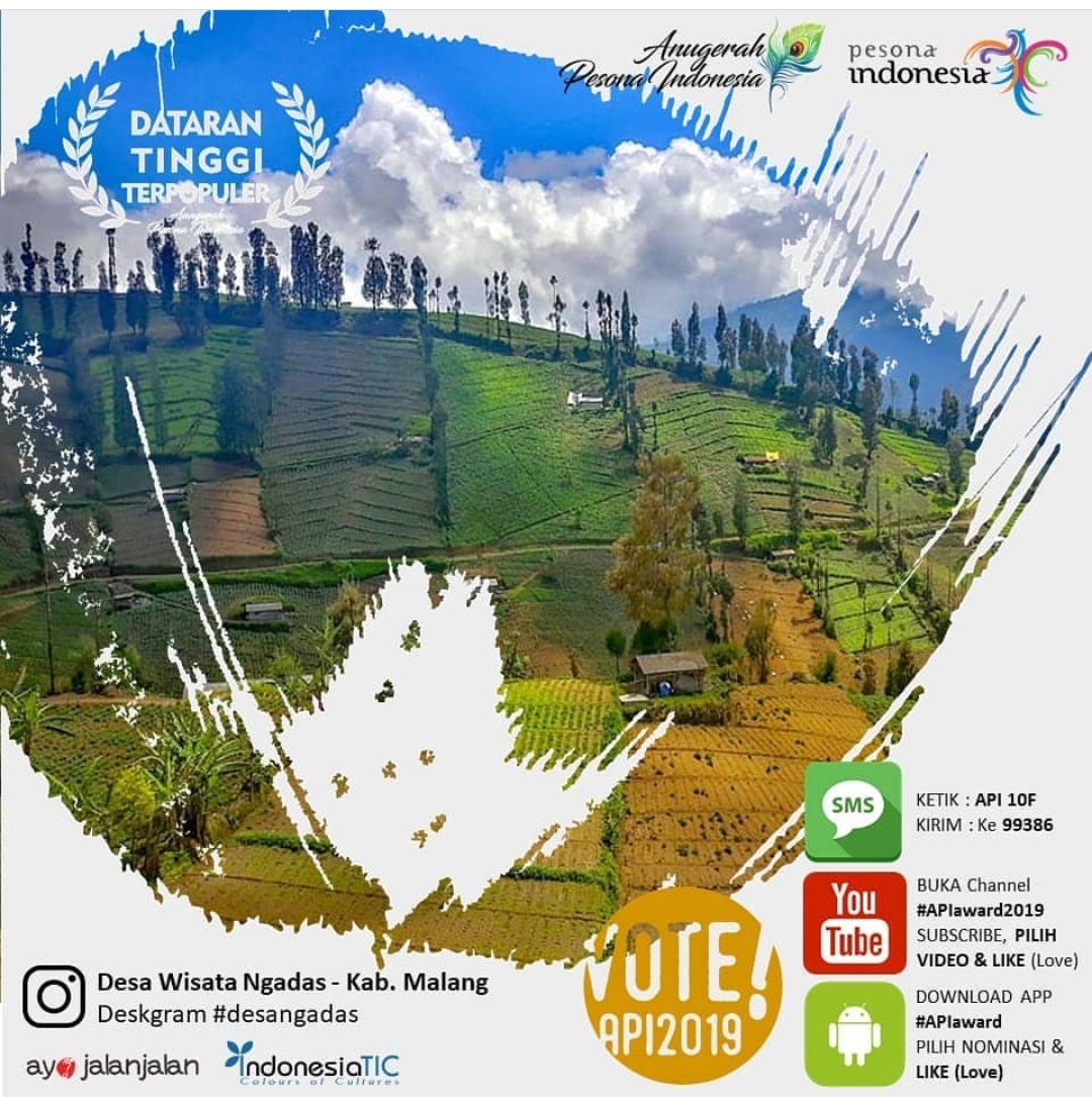 Screenshot nominasi API 2019 desa wisata Ngadas yang masuk Kategori Dataran Tinggi Terpopuler