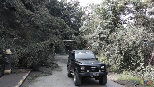 Ilustrasi, mobil Jeep yang tengah melintas di kawasan wisata Gunung Bromo pada Maret lalu. (Foto: Nurlayla Ratri/MalangTIMES)