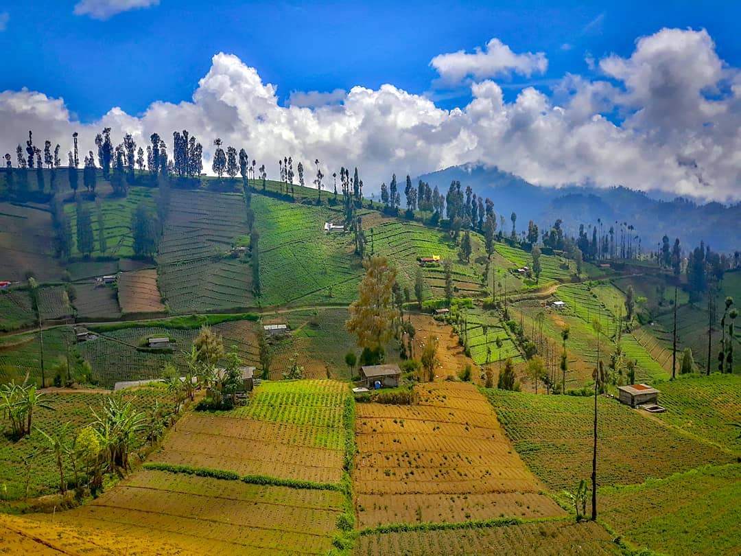 Secuil surga di atas awan, desa Ngadas, Poncokusumo yang jadi nominasi API 2019 kategori dataran tinggi terpopuler (Ist)