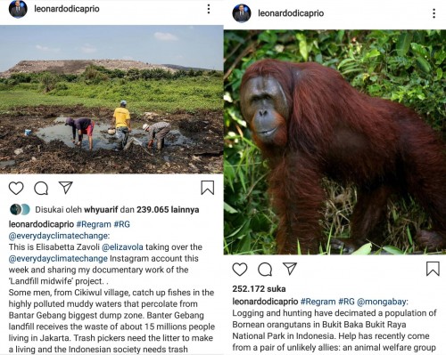Tangkapan layar unggahan Leonardo Dicaprio yang menyoroti Indonesia. (Foto: Instagram)