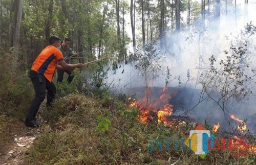 Salah satu kejadian hutan kebakaran di hutan Kota Batu.