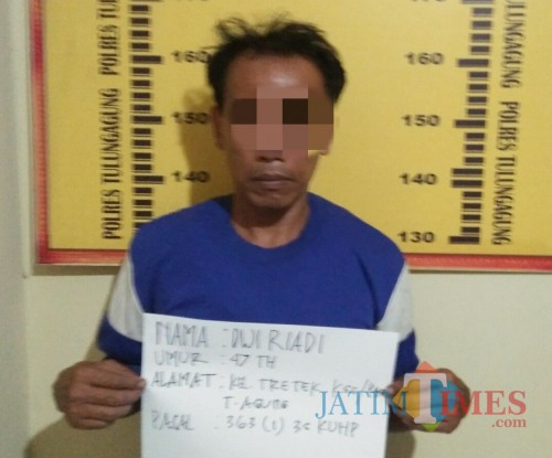 Dwi Riadi Tersangka Pencurian dan pemberatan / Foto : Dokpol / Tulungagung TIMES