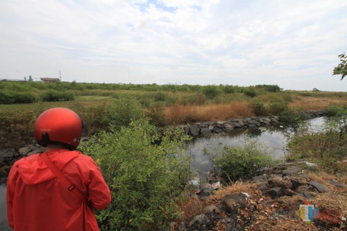Lahan dipantai Kota Probolinggo yang hingga kini tak bertuan (Agus Salam/Jatim TIMES)