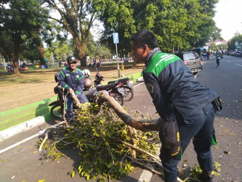 Squad Poltam yang tengah sibuk membersihakn sisa dahan pohon berigin yang patah (Disperkim for MalangTimes)