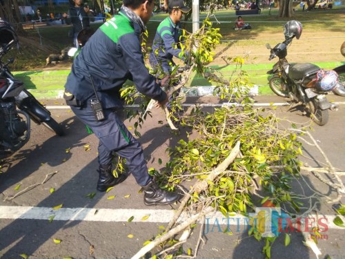 Petugas Disperkim yang menyingkirkan dahan pohon (Disperkim)