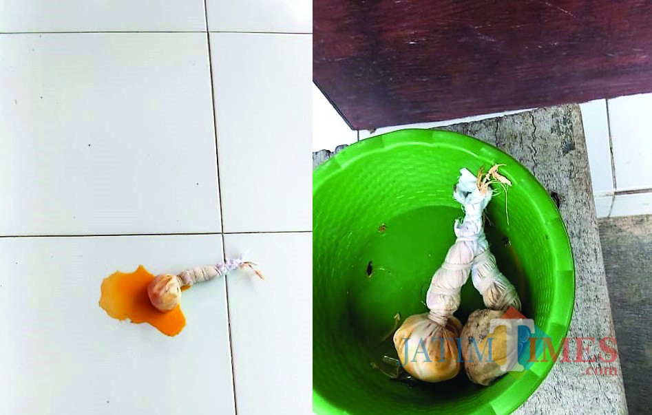 Bungkusan telor busuk diikat seperti pocong yang ditemukan di teras cakades Kesambirampak (Foto Sony Haryono / Situbondo TIMES)