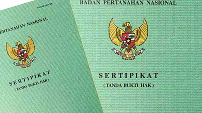 Ilustrasi.(Foto : Tribunnews)