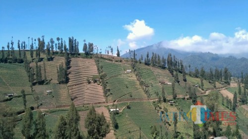 Desa Wisata Adat Ngadas di Kabupaten Malang. (Foto: Nurlayla Ratri/MalangTIMES)