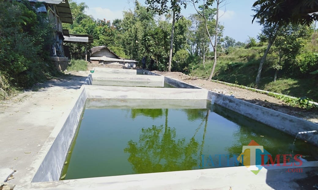 Salah satu budidaya ikan di Kota Batu.