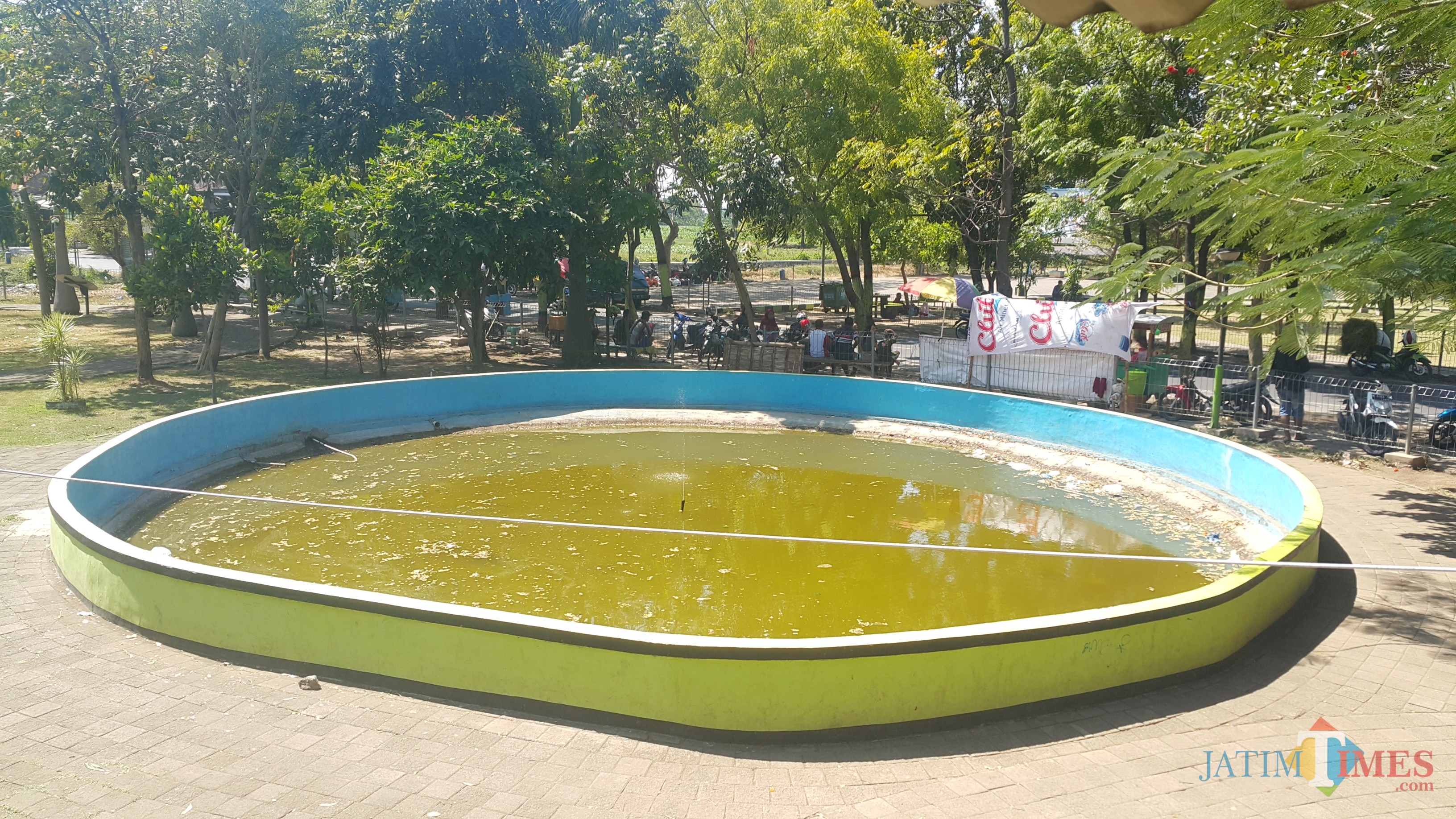 Salah satu kolam di Taman Maramis Kota Probolinggo yang kotor dan airnya menghijau (Agus Salam/Jatim TIMES)