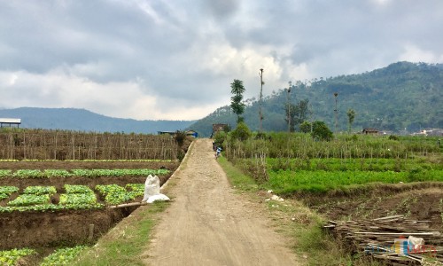 Salah satu akses jalan pertanian di Kota Batu. (Foto: Irsya Richa/MalangTIMES)