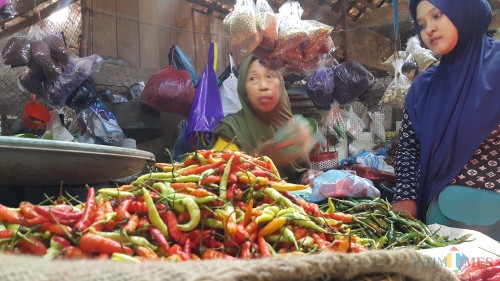 Salah satu pedagang cabai di Pasar Baru Kota Probolinggo (Agus Salam/JatimTIMES)