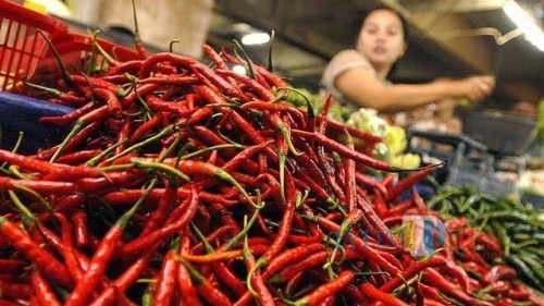 Cabe di pasar (ist)