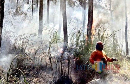 Kebakaran hutan di Hutan Oro-Oro Ombo, lereng Gunung Panderman beberapa saat lalu.
