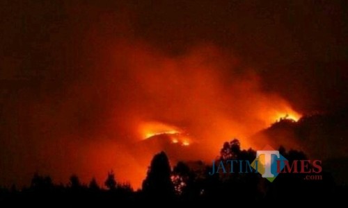 Kondisi kebakaran di Lereng Gunung Panderman. (Foto: Istimewa)