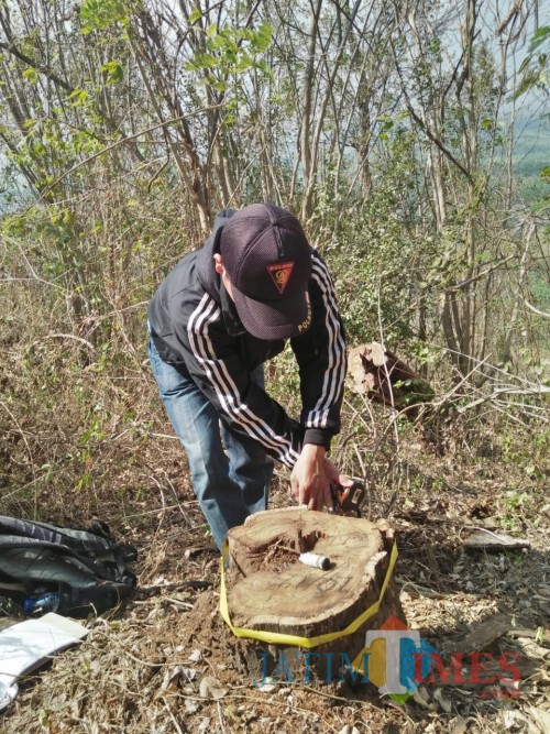 Petugas saat melakukan olah TKP dilokasi pencurian kayu (Foto : Humas Polres Malang for MalangTIMES)