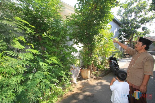 Gatot ketua RT 4 RW 15, Kelurahan Mangunharjo, Kecamatan Mayangan, Kota Probolinggo, menunjuk lokasi kera (Agus Salam/Jatim TIMES)