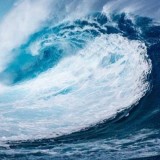 Bukan Sekadar Mitos Keberadaan Burung Ababil Nyata Adanya Jatim