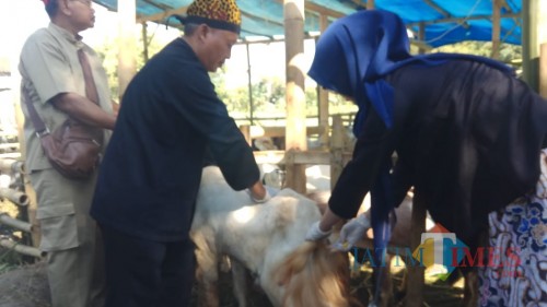 Spanduk Jual Beli Kambing gambar spanduk
