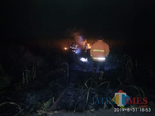 Pemadam kebakaran saat melakukan pemadaman di lahan tebu desa Bendilwungu / Foto : Istimewa / Tulungagung TIMES