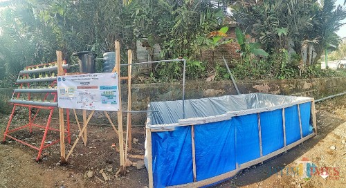 Pertanian dengan sistem aquaponik dari mahasisa KKN Unikama 2019 (Unikama for MalangTIMES)