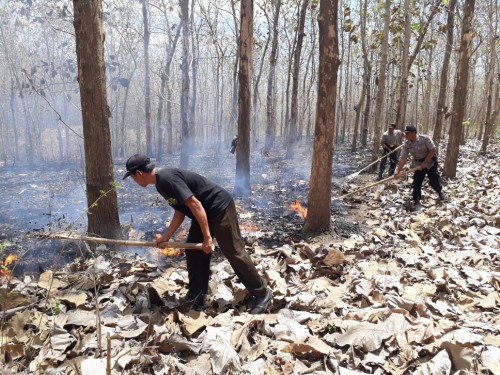 Petugas gabungan melakukan pemadaman api di area hutan produksi Karetan