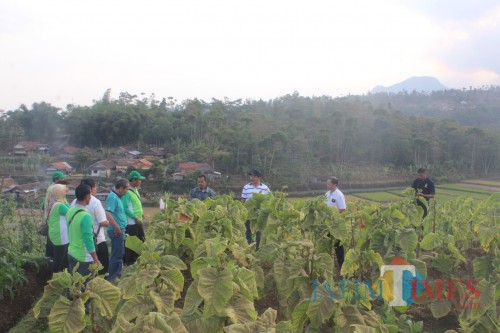 Ilustrasi.(Foto : Aunur Rofiq/BlitarTIMES)