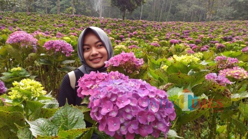 Hasil Karya Batu Video & Photography Tourism Competition Bakal Dibukukan