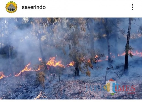 Kebakaran hutan yang terjadi di Gunung Semeru, 17-18 September 2019. (Foto: Saverindo)