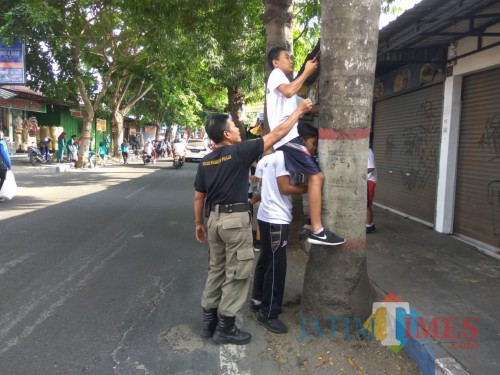 Saling dukung, petugas satpol PP menmbantu menyangga pelajar yang digendong rekanya saat melepas paku di pohon (foto : Joko Pramono/JatimTIMES)