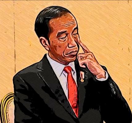 Presiden Jokowi (Ist)
