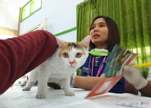 Dokter hewan Silviana Candra saat memeriksa beberapa hewan. (eko Arif s /JatimTimes)