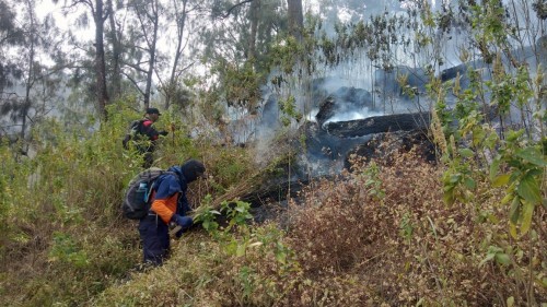 Petugas saat memadamkan api di Gunung Arjuno. (Foto: istimewa)