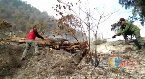 Para petugas gabungan tengah melakukan pemadaman kebakaran lahan dan hutan di Gunung Semeru. (Foto: Dokumen BB TNBTS)