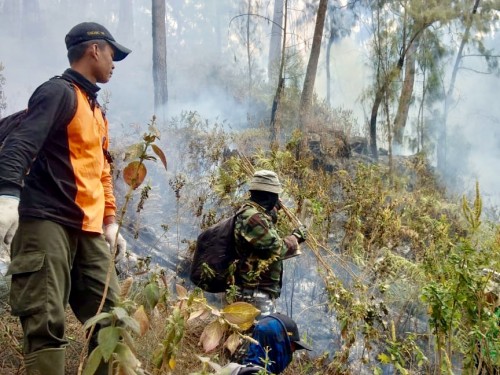 Petugas saat memadamkan kebakaran lahan hutan Gunung Arjuno di area Kota Batu. (Foto: istimewa)