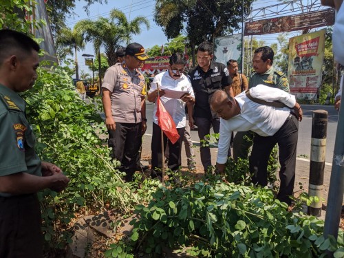Kapolres Tulungagung, AKBP Eva Guna Pandia bersama tim BKSDA memantau langsung lokasi pembalakan Sonokeling (ist).