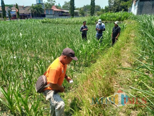 Survei Tahap Awal Eskavasi yang dilakukan BPCB Jatim.(Foto : Malik Naharul/BlitarTIMES)