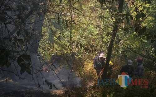 Petugas gabungan melakukan pemadaman titik api kebakaran hutan di Gunung Semeru. (Foto: Dokumen TNBTS)