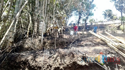 Area lahan bambu di Jalan Pattimura RT 05 RW 07 Kelurahan Temas Kecamatan Batu, Kamis (10/10/2019). (Foto: istimewa)