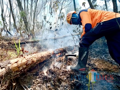 Petugas saat memadam api di petak 219b, Desa Tlekung, Kecamatan Junrejo, Sabtu (12/10/2019).