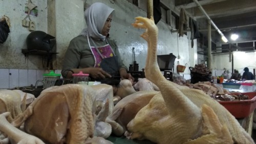 Turunnya harga daging ayam sepanjang September lalu membuat Kota Malang mengalami deflasi ketiga pada 2019. (Foto: Nurlayla Ratri/MalangTIMES)