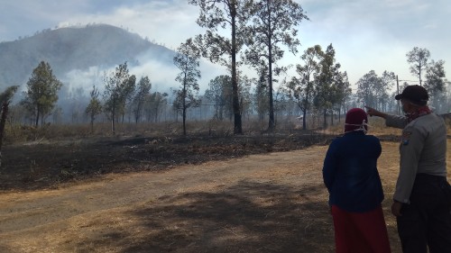 Empat Mahasiswa Terjebak Kebakaran Gunung Ranti