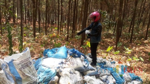 Timbunan limbah di hutan produksi Perhutani