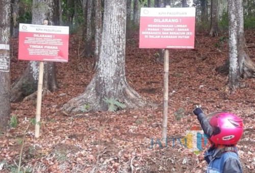 Papan larangan pembuangan limbah di lahan Perhutani.