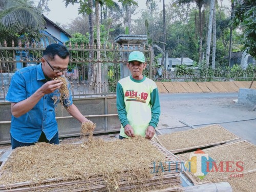PPL Desa Kedawung Isnawan bersama petani tembakau Desa Kedawung saat ditemui BLITARTIMES.(Foto : Aunur Rofiq/BlitarTIMES)