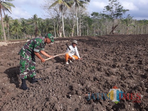 Serka Sudarto membantu petani bercocok tanam