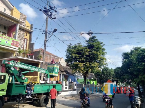 Bidang PJU, Disperkim Kota Malang saat melakukan penertiban PJU (Doc MalangTIMES)
