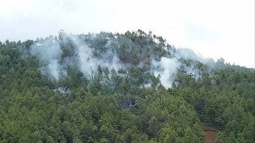 Kebakaran di Petak 10B dan Hutan Produksi Dusun Brau, Desa Gunungsari, Kecamatan Bumiaji, Kota Batu, Rabu (13/11/2019). (Foto: istimewa)