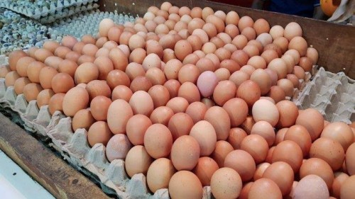 Telur ayam yang dijual di pasar. ( Foto : Tribunnews )