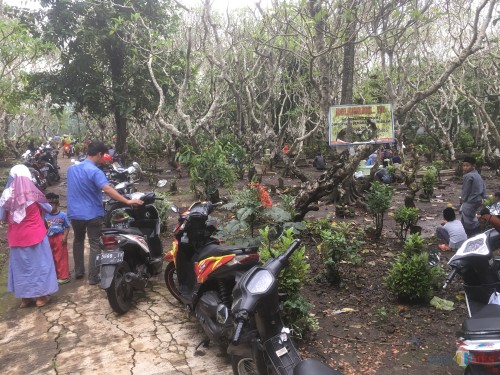 Ilustrasi salah satu makam yang retribusinya dikelola oleh Bapenda Kabupaten Malang (Foto: Ashaq Lupito/ MalangTIMES)